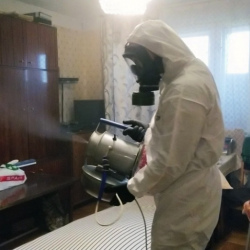 Дезинфекция от клопов в Великом Новгороде