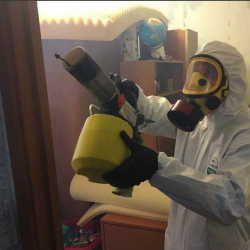 Уничтожение клопов в квартире. Великий Новгород